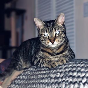 Meet your Posher, Polina